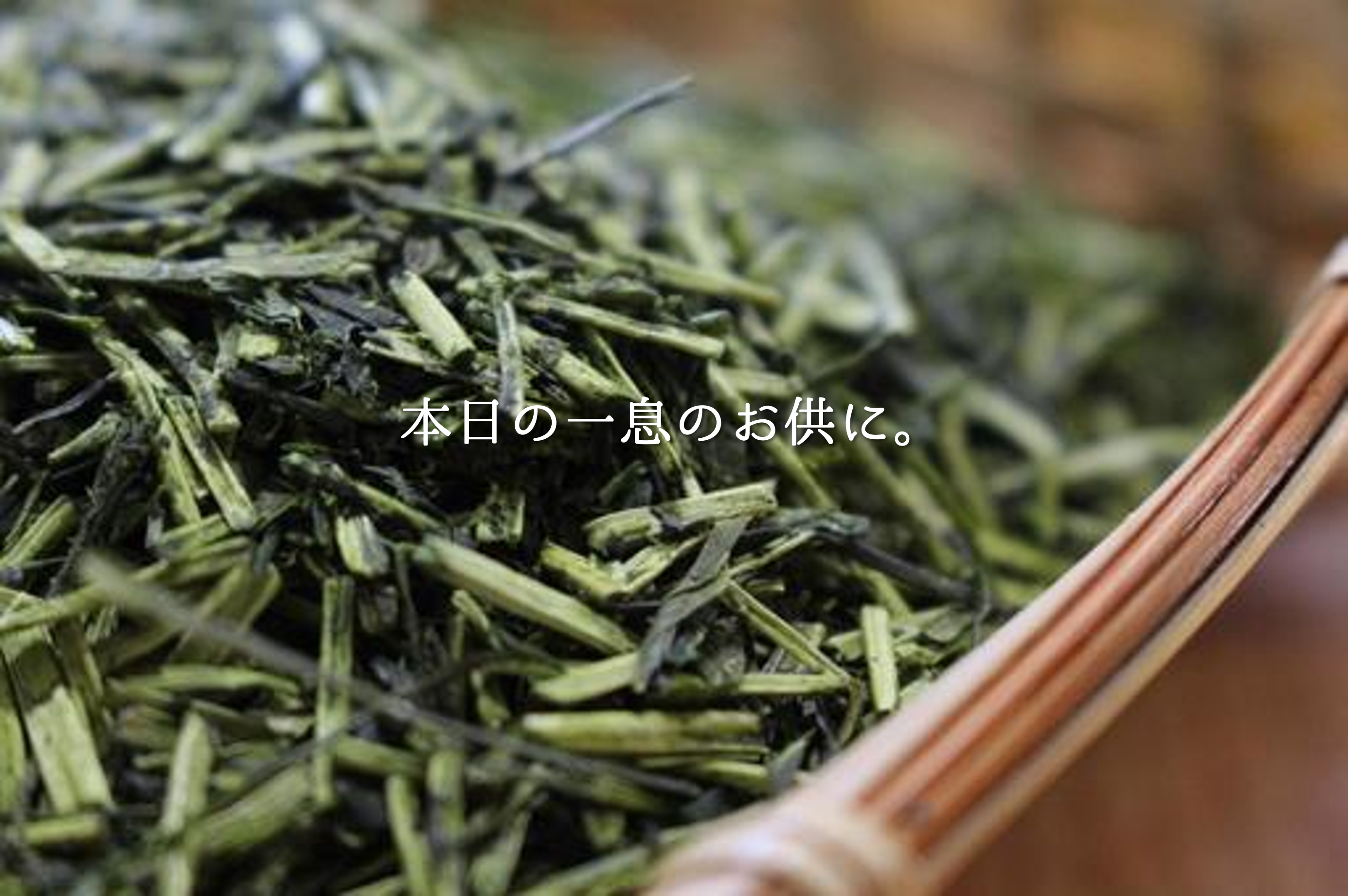 温 特選煎茶シリーズ