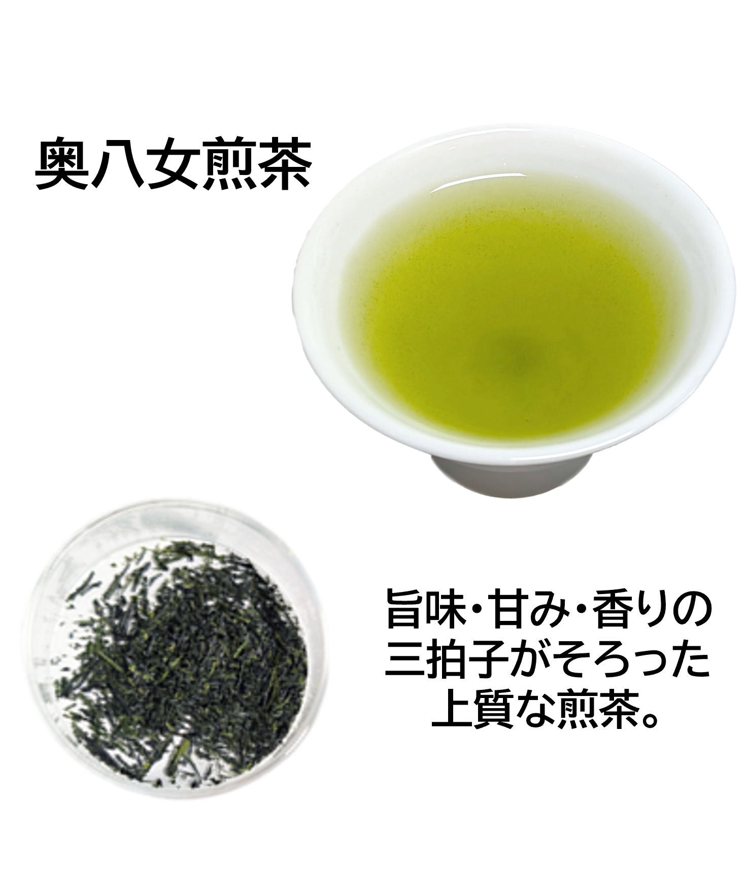 九州銘茶 飲み比べ和菓子セット