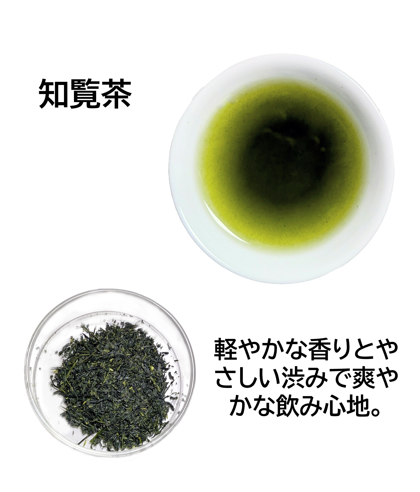 九州銘茶 飲み比べ和菓子セット