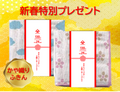 新春特別プレゼント